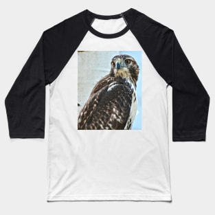 Red Tailed Hawk Baseball T-Shirt